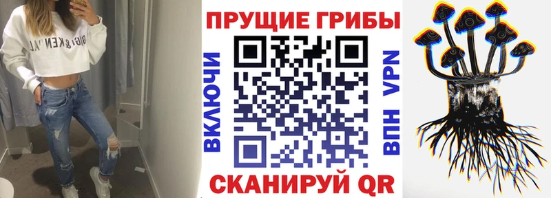 Псилоцибиновые грибы MAGIC MUSHROOMS  купить   Инта 